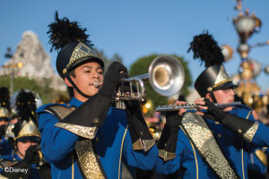 DLR-Band-MiniHeader-copyright_300x200
