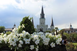 Flowers and Cathedral in Jackson Sq, New Orleans